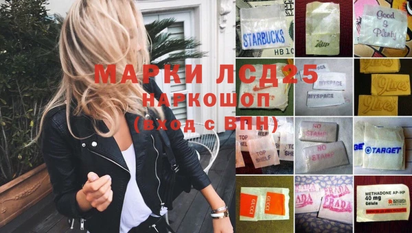 шишки Алзамай